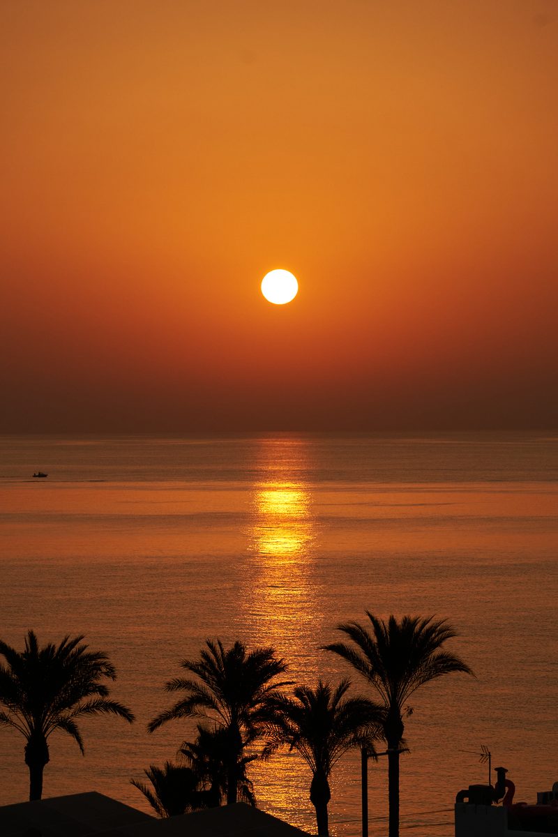 Atardecer palmeras
